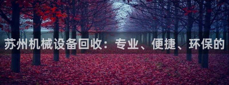 琳琅娱乐园