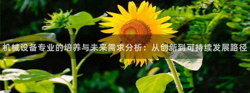 琳琅娱乐工作室招聘条件