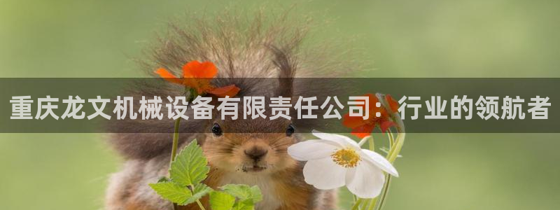 琳琅AV娱乐