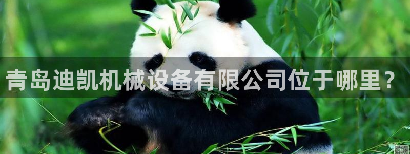 琳琅娱乐代理怎么样