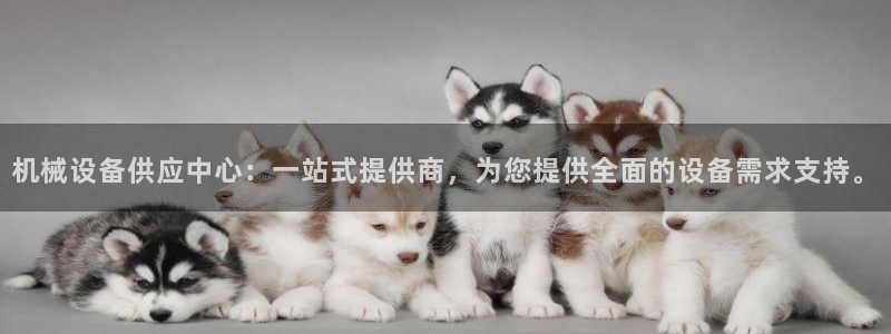 琳琅谈娱乐