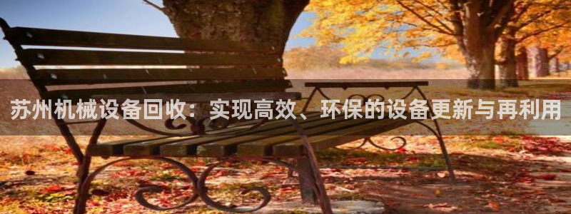 琳琅娱乐 全麦优质