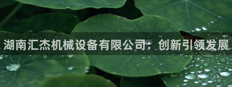 琳琅娱乐 全麦优质