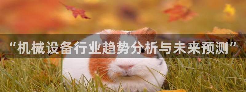 琳琅娱乐免费线上观看