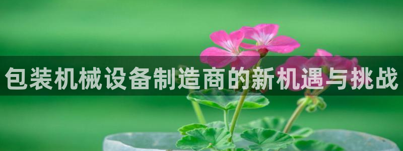 琳琅科技娱乐机器人