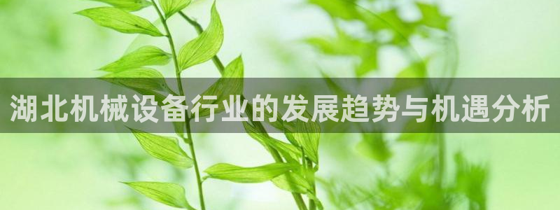 琳琅娱乐平台怎么样