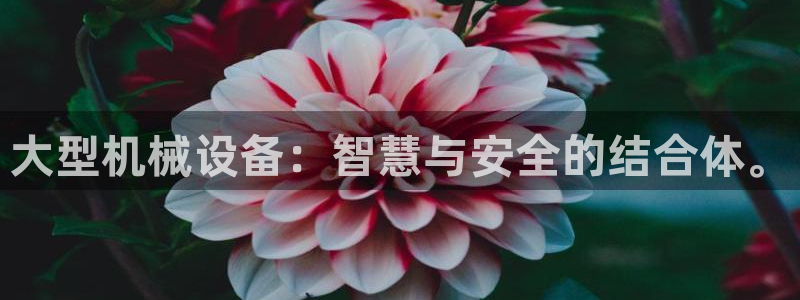 琳琅娱乐工作室地址查询