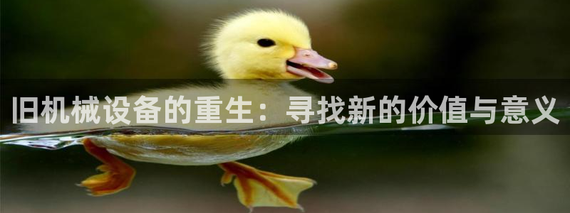 琳琅QQ娱乐机器人
