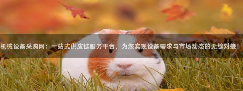 琳琅娱乐代理怎么样
