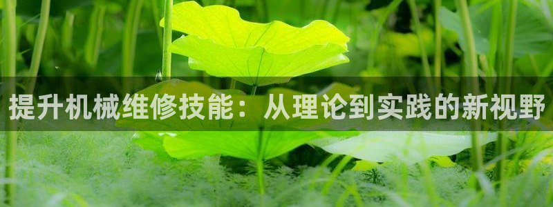 琳琅科技娱乐机器人