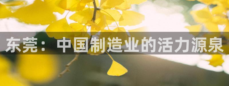 琳琅娱乐注册资金多少钱