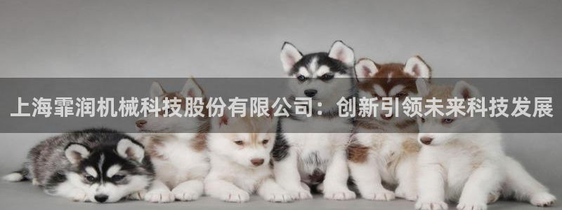 琳琅娱乐代理怎么做的