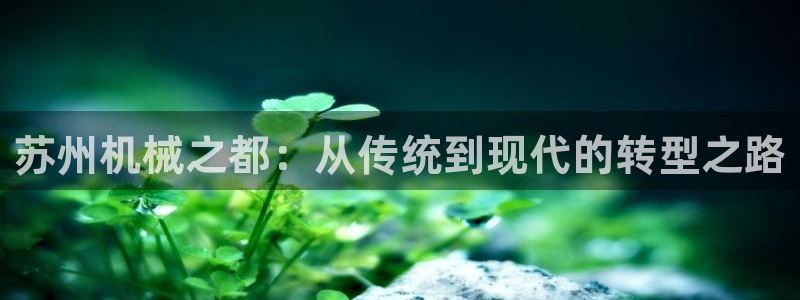 琳琅娱乐温柔乡网站