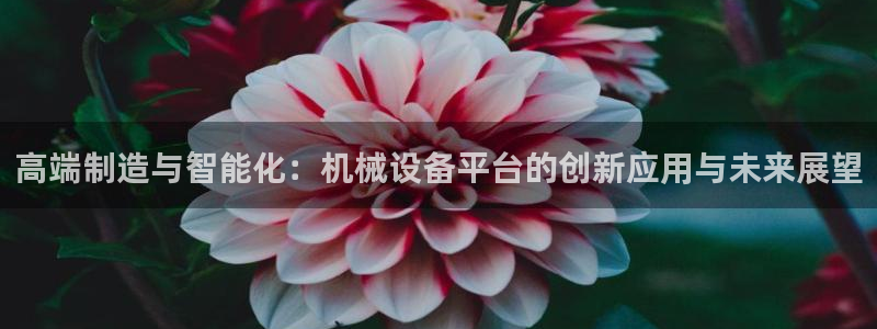 琳琅娱乐机器人