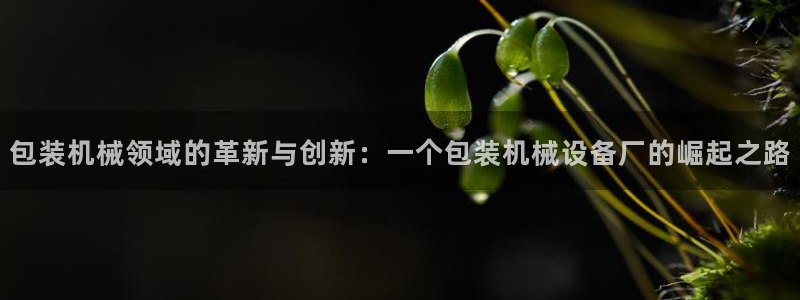 琳琅娱乐场所有哪些