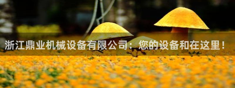 琅琳琅娱乐