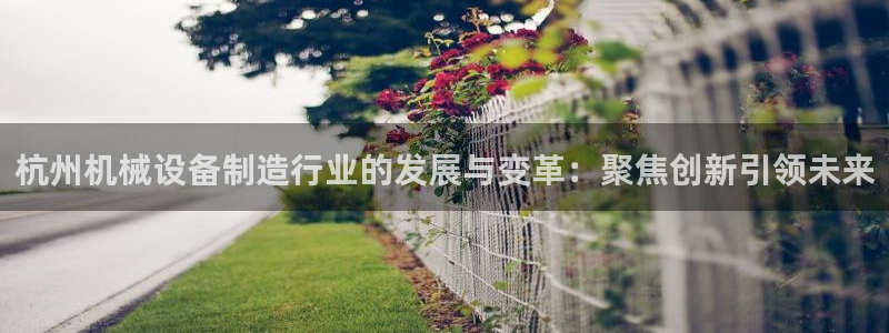 琳琅娱乐组飞车