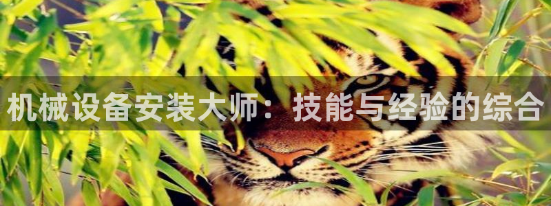 琳琅娱乐温柔乡网站