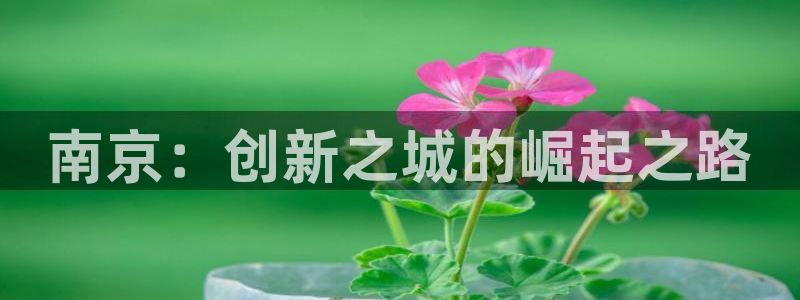 琳琅娱乐足球