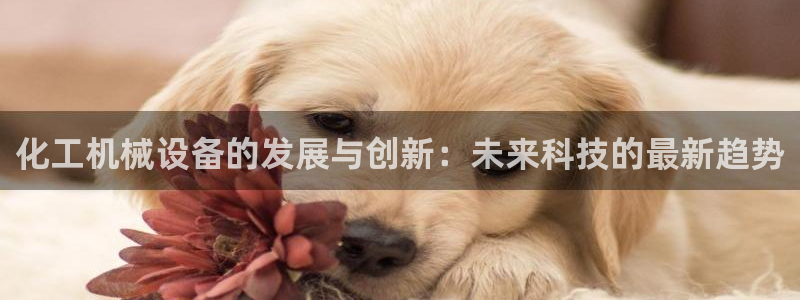 琳琅娱乐工作室地址