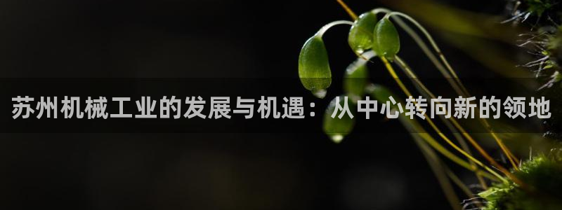 琳琅娱乐机器人