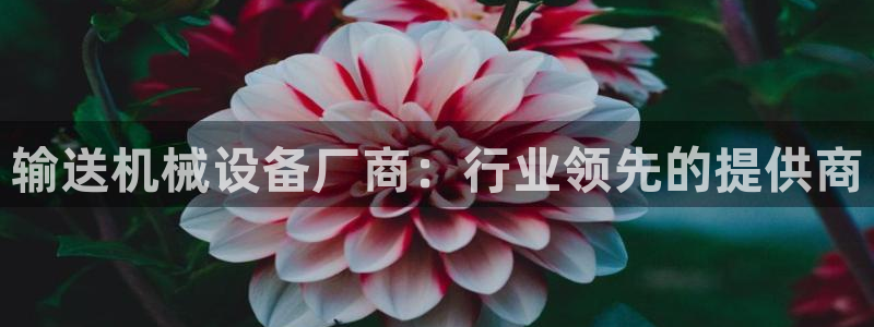 娱乐从琳琅榜开始