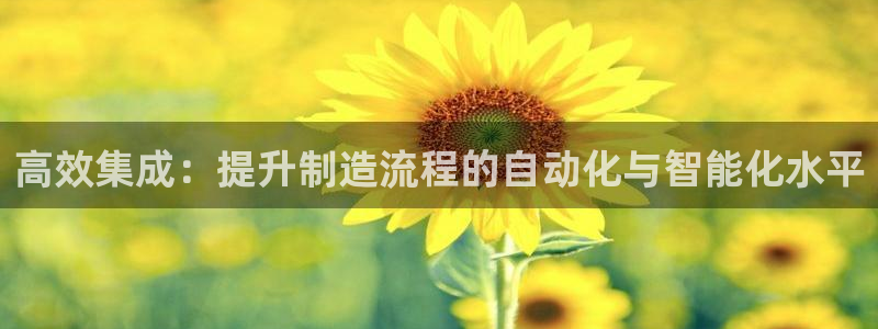 琳琅作者娱乐圈女主