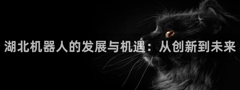 琳琅娱乐代理人是谁
