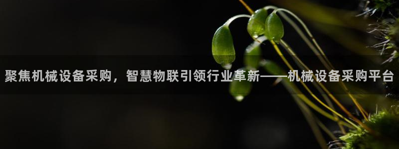 琅琳琅娱乐舍区