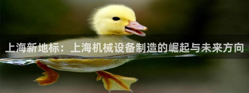 祖龙娱乐官网爱在琳琅