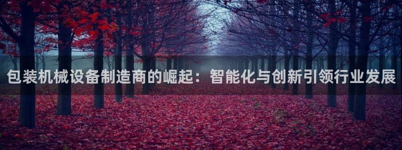 琳琅娱乐组飞车