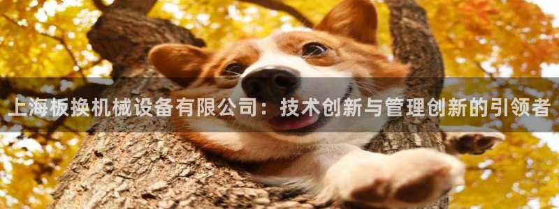 琳琅娱乐社区宅男