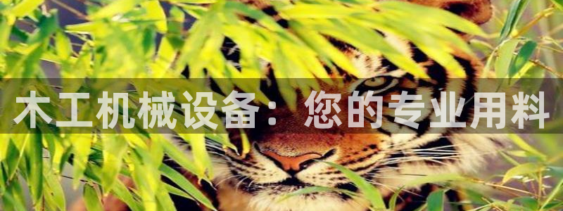 娱乐 从琳琅榜开始