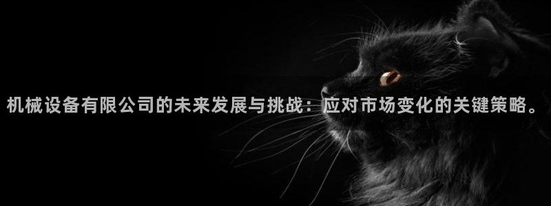 琳琅娱乐机器人