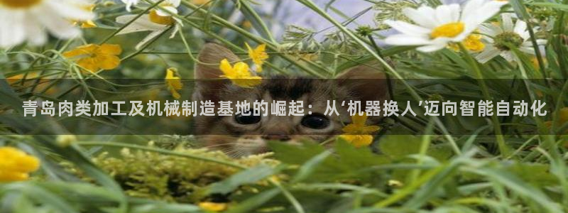 琳琅娱乐是什么