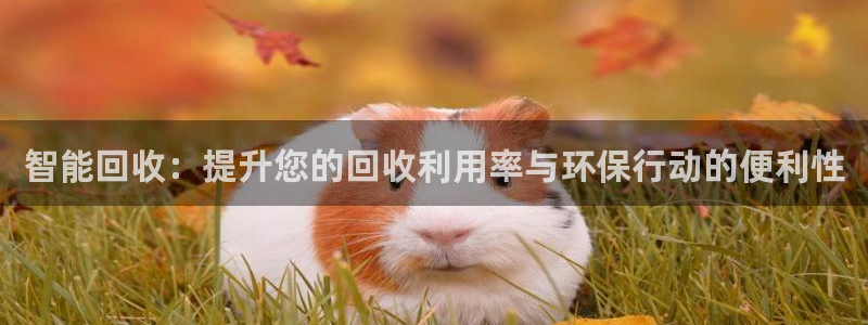 琅琳琅娱乐社区