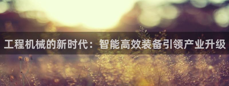 琳琅娱乐信誉33300