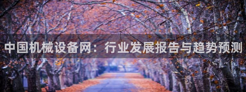 琳琅娱乐 全麦优质