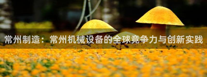 琳琅娱乐场所在哪里