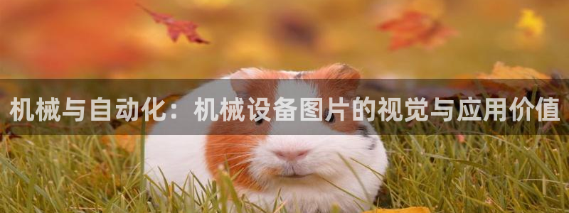 琳琅作者娱乐圈女主