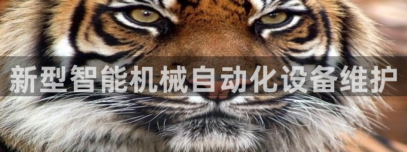 琳琅娱乐温柔乡网站