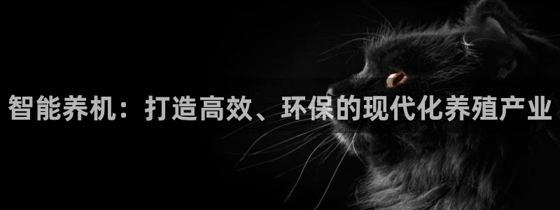 琳琅娱乐招商注册