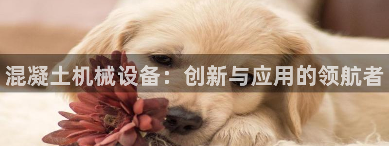 琳琅娱乐在哪直播