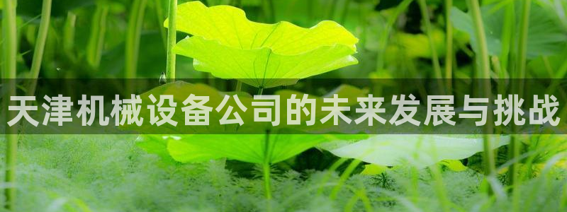 琳琅娱乐APP下载