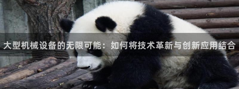 娱乐 从琳琅榜开始