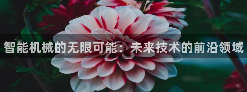 琳琅QQ娱乐机器人