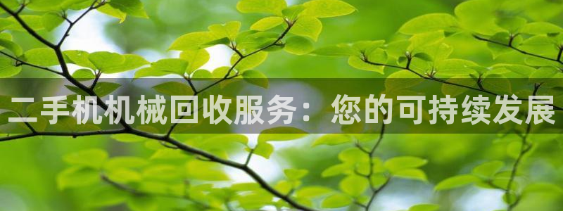 qq飞车琳琅娱乐组