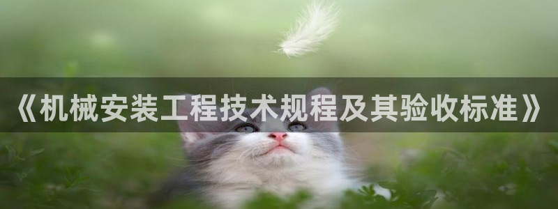 娱乐从琳琅榜开始的小说